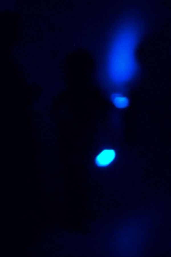 DAVID HAMMONS — CONCERTO IN BLACK AND BLUE