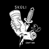 Skúli Craft Bar