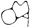 OMA